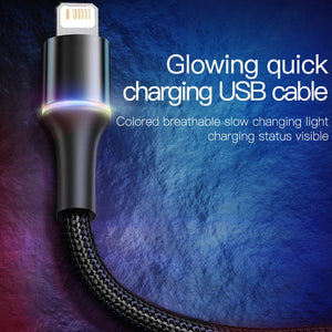 Baseus LED USB Cable For iPhone 13 12 11 Pro Xs Max X Xr 8 7 6 Fast Charging Charger Mobile Phone Data Cable For iPad Wire Cord